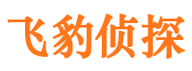 解放市侦探调查公司